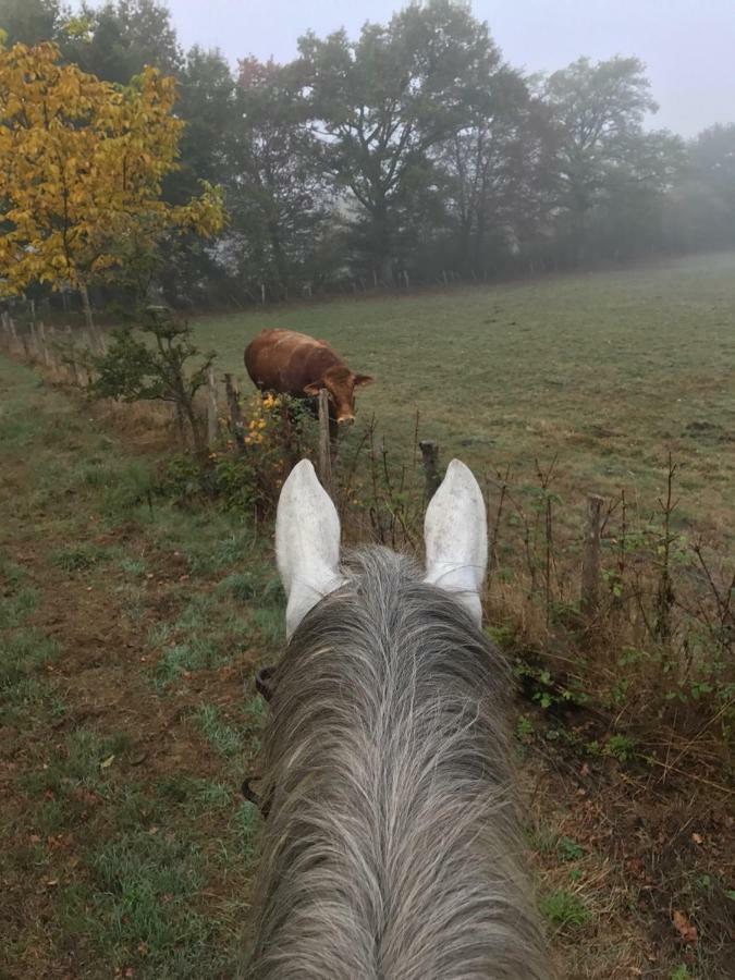 Ferme Gite Equestre En Charente Confolens Εξωτερικό φωτογραφία