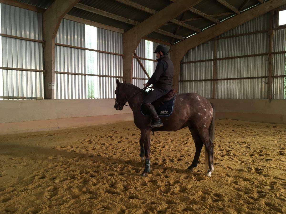 Ferme Gite Equestre En Charente Confolens Εξωτερικό φωτογραφία